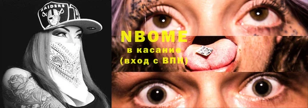 хмурый Каменка