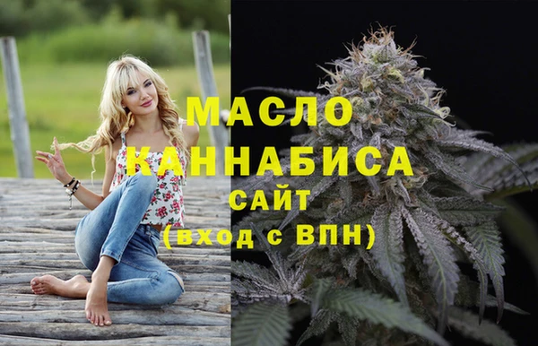 хмурый Каменка