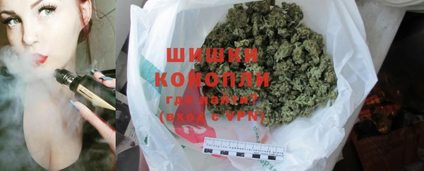 хмурый Каменка