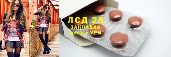 хмурый Каменка