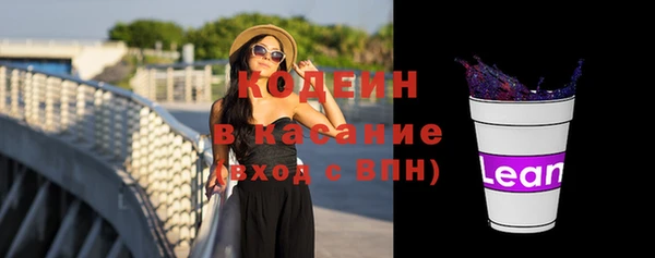 хмурый Каменка