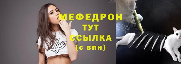 хмурый Каменка