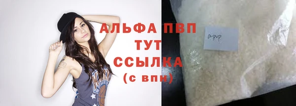 хмурый Каменка