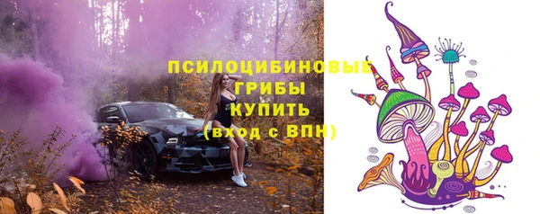 ПСИЛОЦИБИНОВЫЕ ГРИБЫ Каменногорск