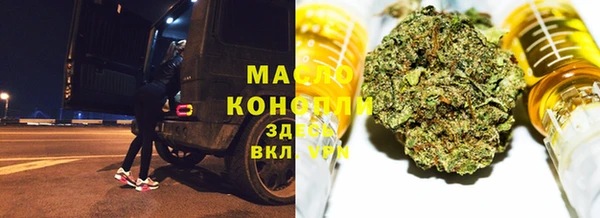 хмурый Каменка