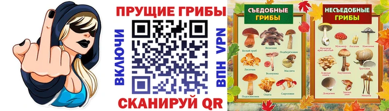 Псилоцибиновые грибы Psilocybine cubensis  Купить закладки  Жигулёвск 